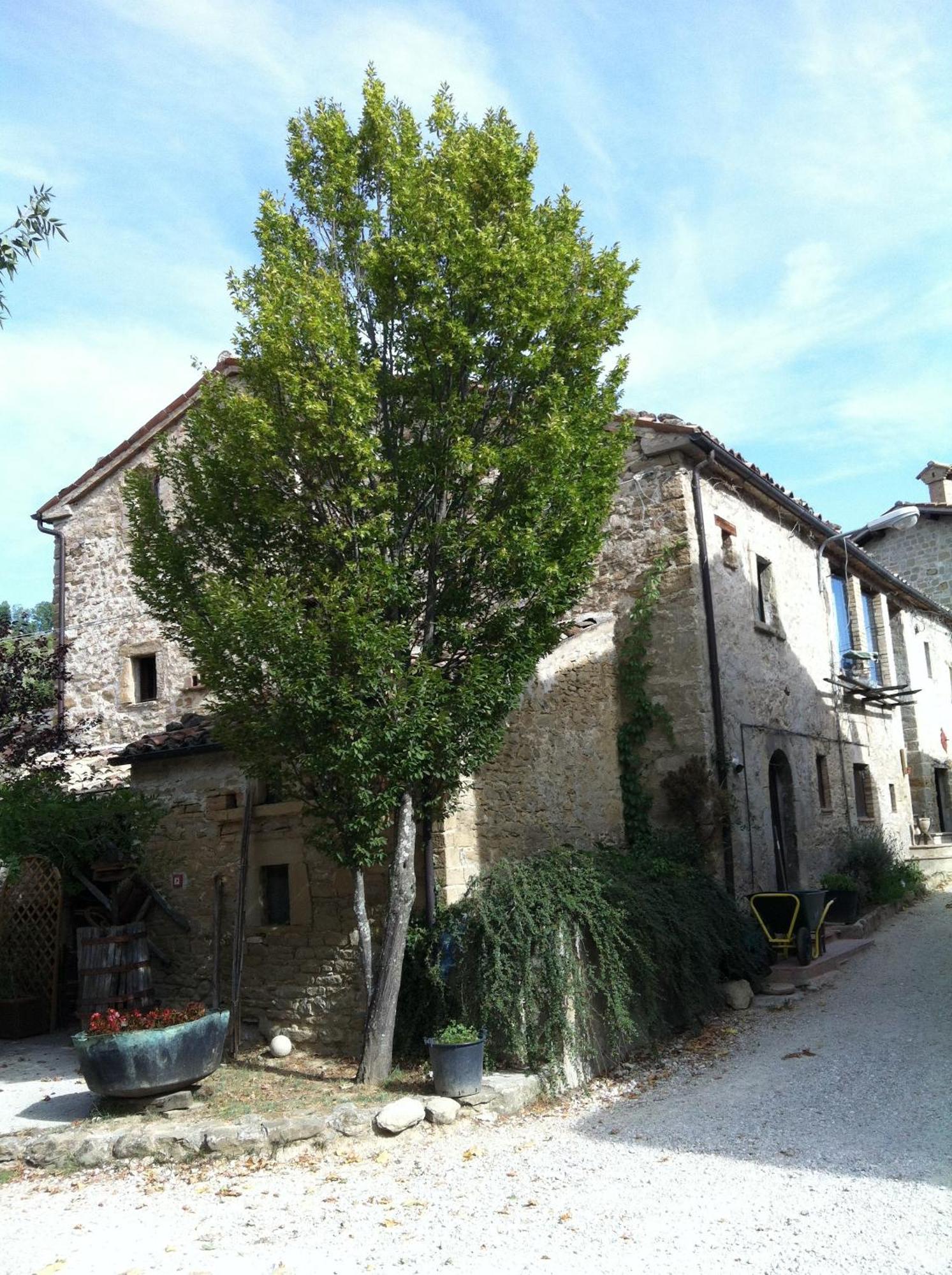 La Cittadella Dei Monti Sibillini Guest House Montemonaco Luaran gambar