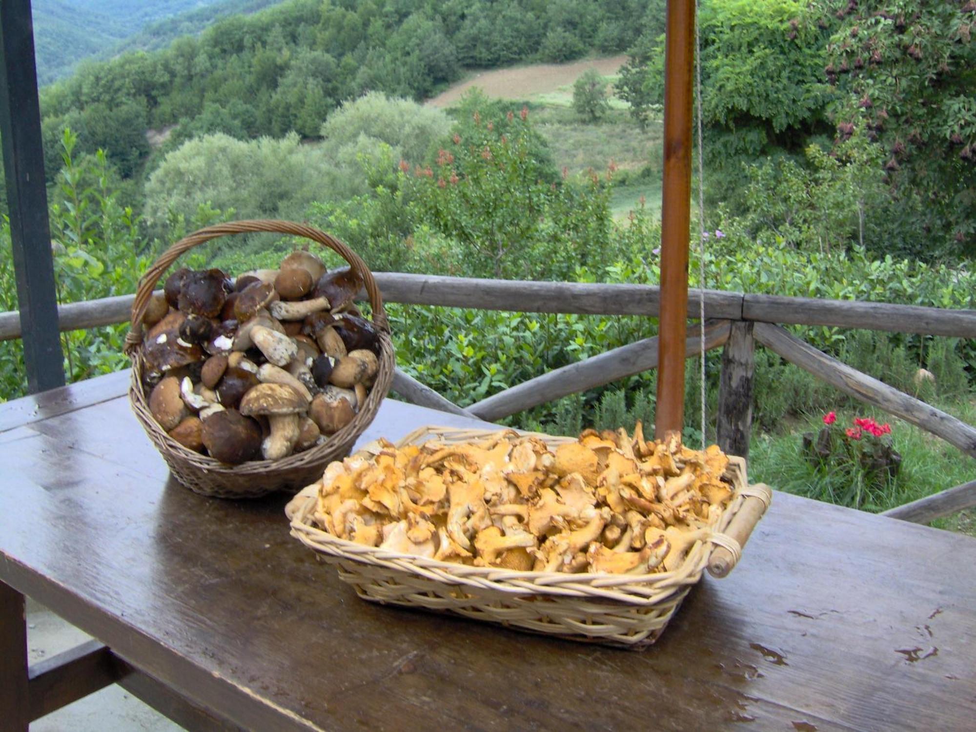 La Cittadella Dei Monti Sibillini Guest House Montemonaco Luaran gambar