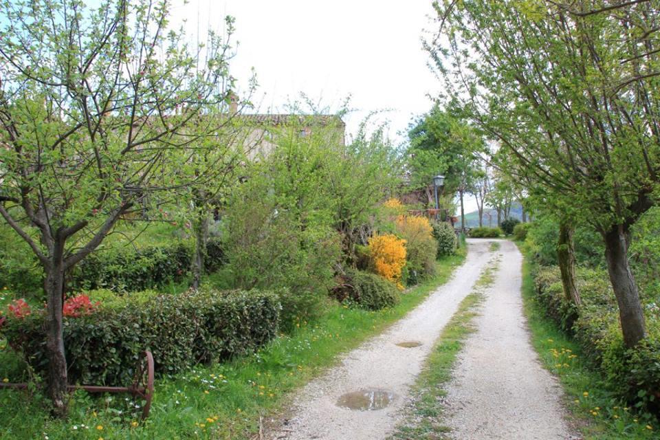 La Cittadella Dei Monti Sibillini Guest House Montemonaco Luaran gambar